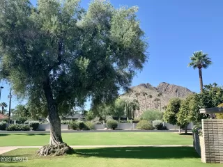 Photo #3: 6641863 Listing 