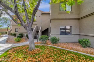 Photo #1: 6646694 Listing