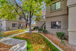 Photo #2: 6646694 Listing