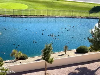 Photo #2: 6650383 Listing 