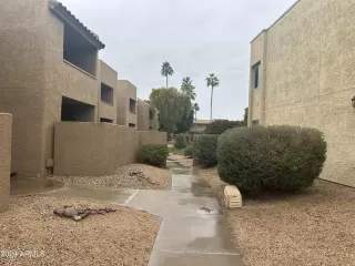 Photo #3: 6654427 Listing