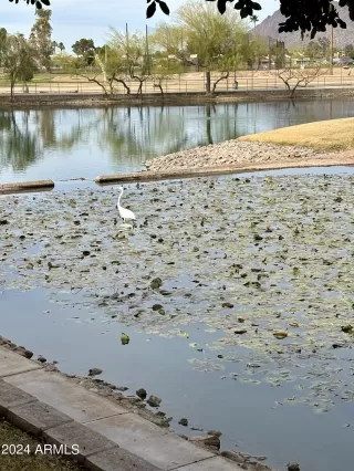 Photo #2: 6657035 Listing