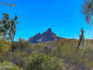 Photo #3: 6663879 Listing