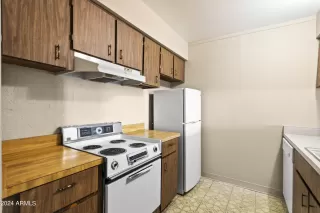 Photo #1: 6666385 Listing 