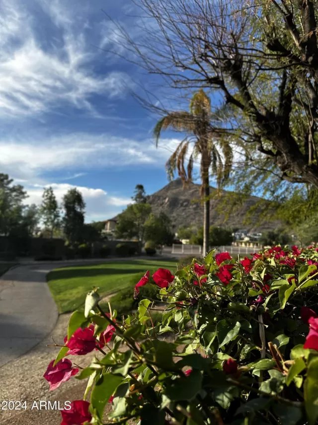 MLS: 6667971 Condo For Sale