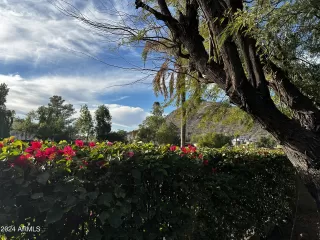 Photo #2: 6667971 Listing