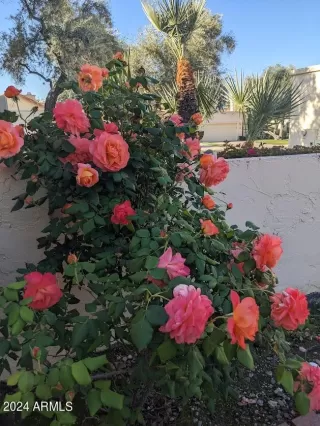 Photo #4: 6687837 Listing 