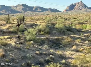 Photo #1: 6689292 Listing 