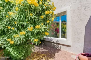 Photo #1: 6701190 Listing 