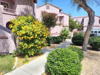 Photo #5: 6703583 Listing 