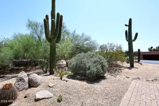 Photo #5: 6736776 Listing