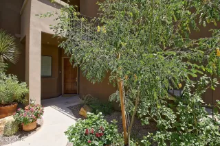 Photo #1: 6750287 Listing 