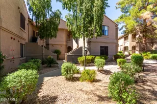 Photo #1: 6789655 Listing