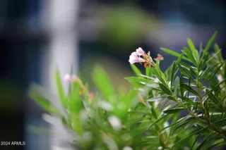 Photo #2: 6798159 Listing 