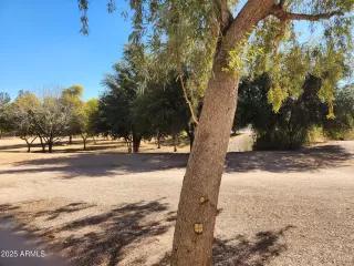Photo #2: 6818645 Listing 