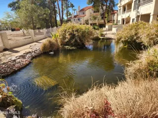 Photo #4: 6818645 Listing 