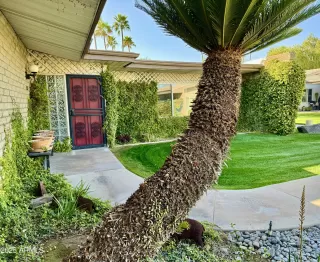Photo #1: 6834188 Listing 