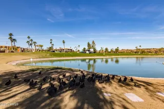 Photo #6: 6834317 Listing