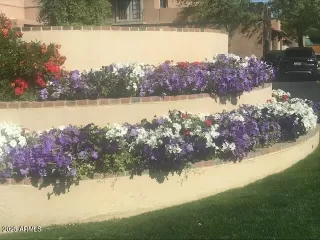 Photo #2: 6837342 Listing