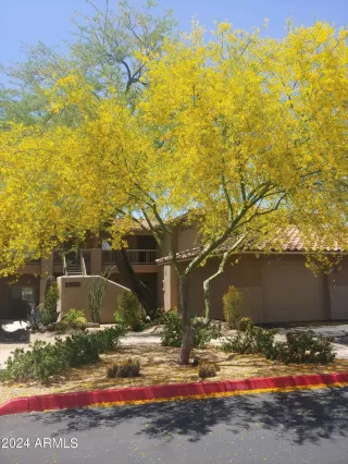 Photo #1: 6842052 Listing