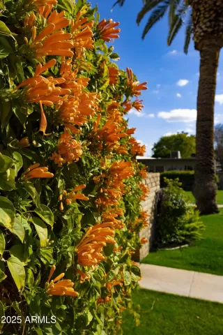 Photo #6: 6844627 Listing