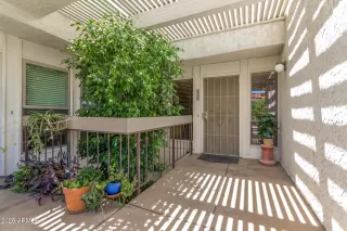 Photo #1: 6851668 Listing 