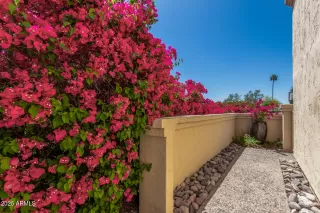 Photo #5: 6857644 Listing
