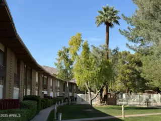 Photo #5: 6857654 Listing 