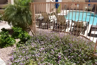 Photo #4: 6860843 Listing 