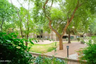 Photo #5: 6863090 Listing