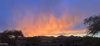 Photo #1: 6867164 Listing 