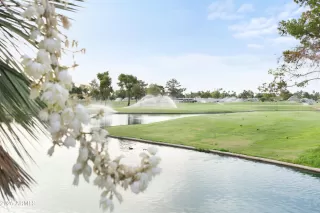 Photo #2: 6877166 Listing 