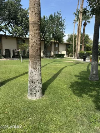 Photo #1: 6916290 Listing