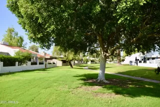 Photo #3: 6916363 Listing