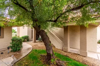 Photo #5: 6948267 Listing