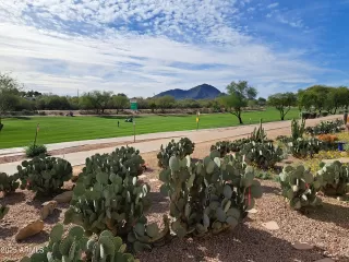 Photo #1: 6962684 Listing 