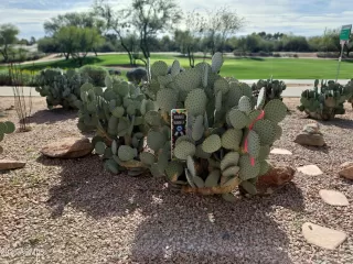 Photo #3: 6962684 Listing 