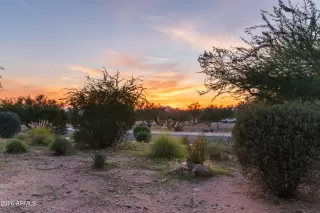 Primary Photo for MLS#: 6966754