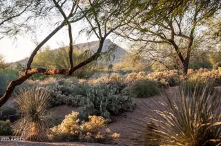 Photo #1: 6974842 Listing 