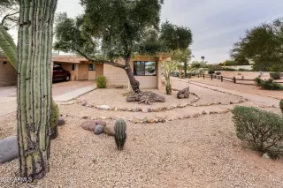 Photo #5: 6976776 Listing