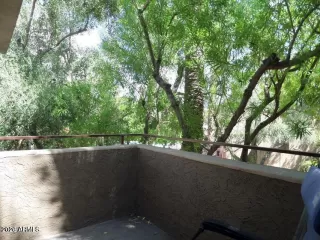 Photo #5: 6999421 Listing 