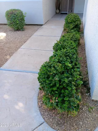 Photo #2: 7010019 Listing