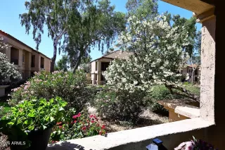 Photo #6: 7010031 Listing