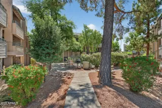 Photo #1: 7012625 Listing