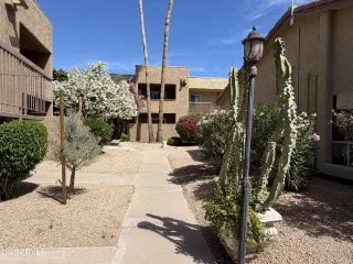 Photo #4: 7019018 Listing 