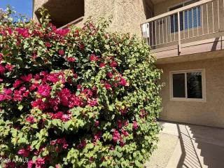 More Details about MLS # 7031233 : 5877 N GRANITE REEF ROAD 1151#1151