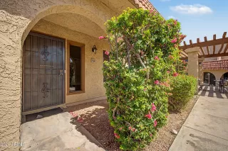 Photo #1: 7033406 Listing