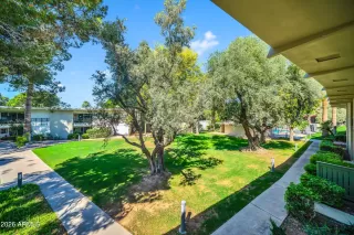 Photo #1: 7036708 Listing
