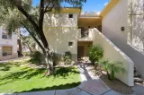 Primary Photo for MLS#: 7038485