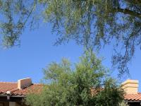 More Details about MLS # 5994402 : 37206 N TOM DARLINGTON DRIVE #6